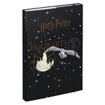Teczka na zeszyty A4 Herb Harry'ego Pottera i Hogwartu