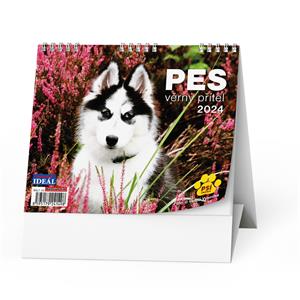 Kalendarz biurkowy 2024 IDEAL - Pies wierny przyjaciel