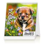 Kalendarz biurkowy 2024 - Mini Szczenięta