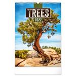 Kalendarz ścienny 2022 Drzewa