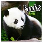 Kalendarz ścienny 2022 Pandy