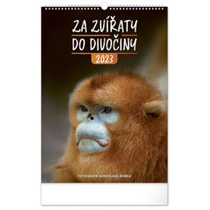 Kalendarz ścienny 2023 Dzikie zwierzęta
