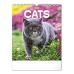 Kalendarz ścienny 2024 Koty