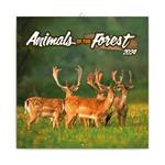 Kalendarz ścienny 2024 Zwierzęta leśne
