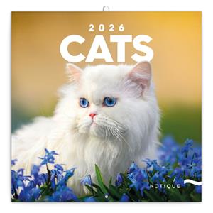 Kalendarz ścienny 2026 Koty