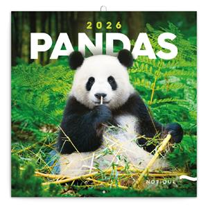 Kalendarz ścienny 2026 Pandy