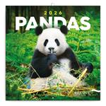 Kalendarz ścienny 2026 Pandy