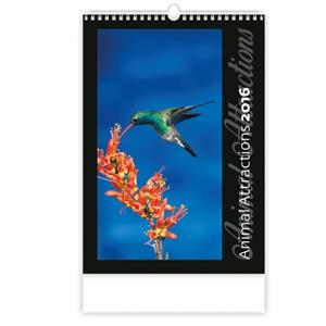 Kalendarz ścienny Animal Attractions 2016