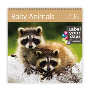 Kalendarz ścienny Baby Animals 2016