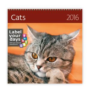 Kalendarz ścienny Cat 2016s 2016