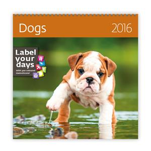 Kalendarz ścienny Dogs 2016