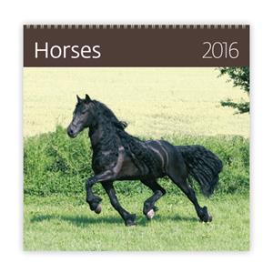 Kalendarz ścienny Horses 2016