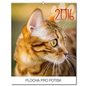 Kalendarz ścienny Koty 2016