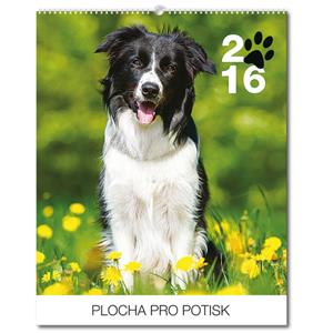 Kalendarz ścienny Psy 2016