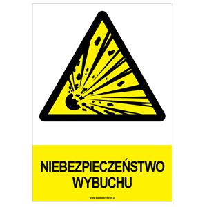 NIEBEZPIECZEŃSTWO WYBUCHU - znak BHP, naklejka A4