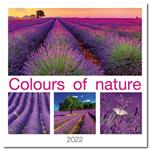 Ścienny kalendarz 2022 - Colours of nature