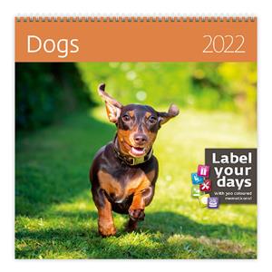 Ścienny Kalendarz 2022 - Dogs