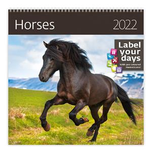 Ścienny Kalendarz 2022 - Horses