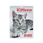 Ścienny Kalendarz 2022 - Kittens