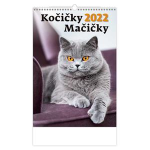 Ścienny Kalendarz 2022 - Koty