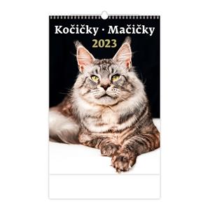 Ścienny Kalendarz 2023 - Koty