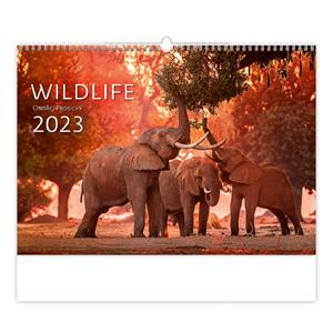 Ścienny Kalendarz 2023 - Wildlife