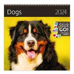 Ścienny Kalendarz 2024 - Dogs