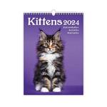 Ścienny Kalendarz 2024 - Kittens