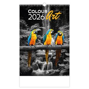 Ścienny Kalendarz 2026 - Colour Art