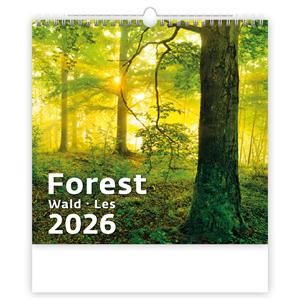Ścienny Kalendarz 2026 - Forest/Wald/Les