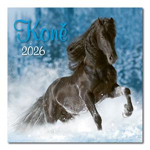 Ścienny kalendarz 2026 - Konie