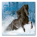 Ścienny kalendarz 2026 - Konie