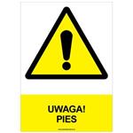UWAGA! PIES - znak BHP, płyta PVC A4, 0,5 mm